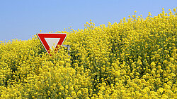 Ob Stadt, Wald oder Feld: Verkehrsschilder müssen in jeder Umgebung gut sichtbar sein.